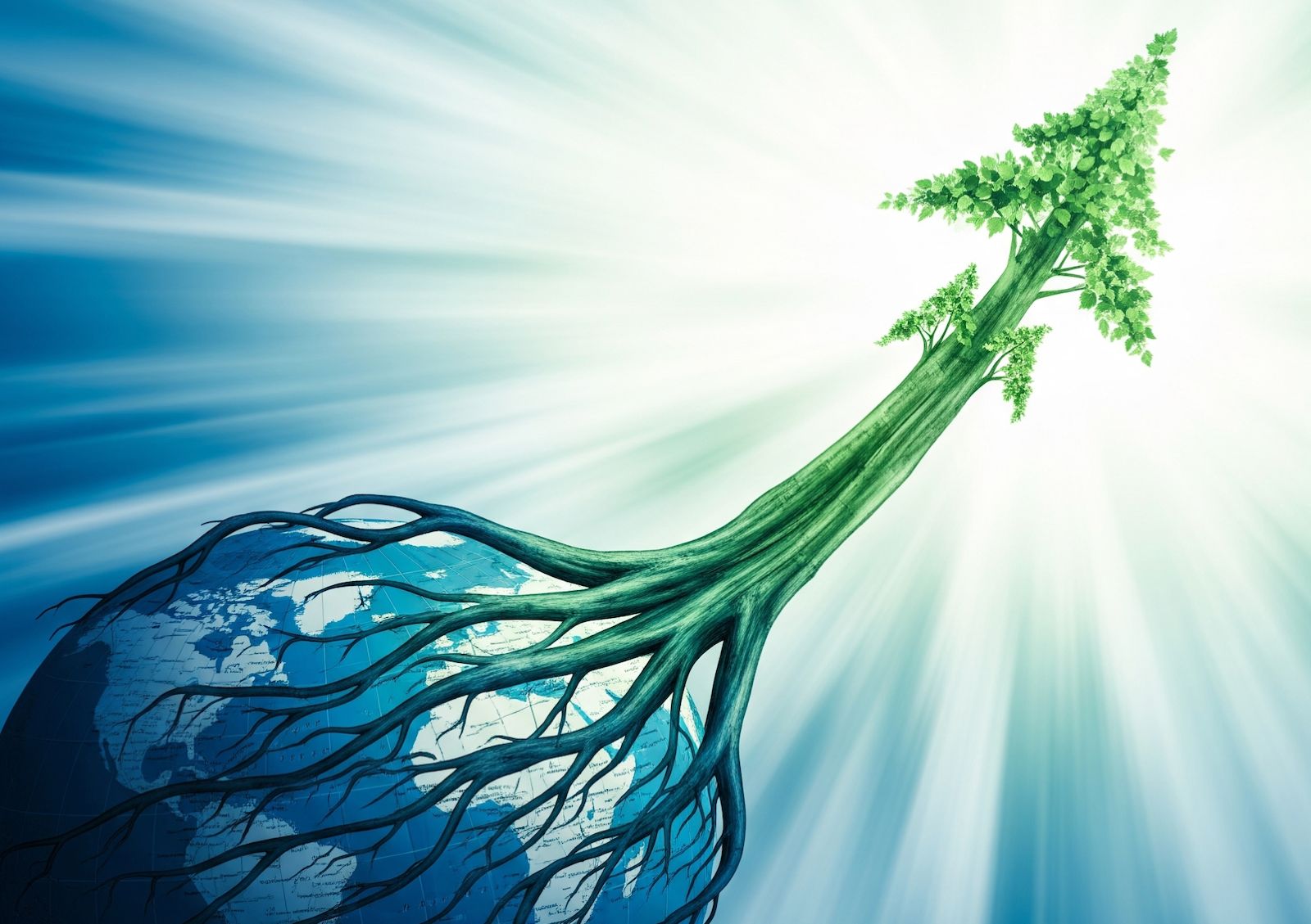 WhatsApp Image 2025-07-09 at 18.40.33